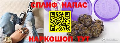 дмт Новодвинск