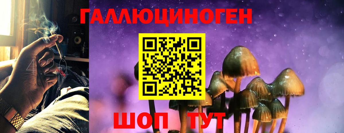 Тихвин  Псилоцибиновые грибы Psilocybe  Вход с VPN  Галлюциногенные грибы Cubensis 